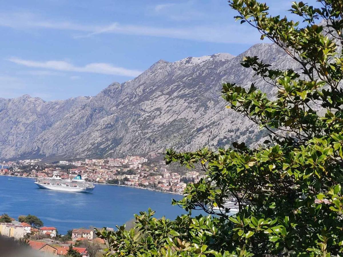Casa Vecchia Kotor Exterior foto